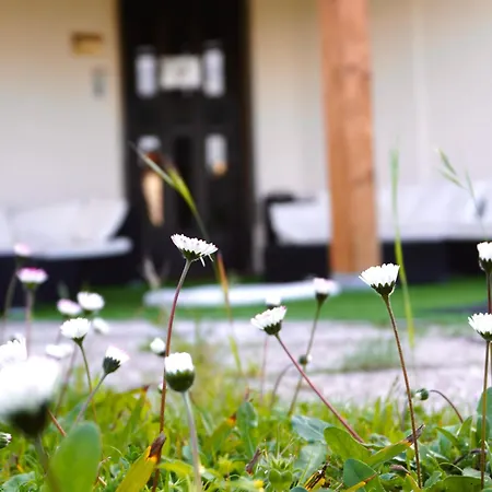 Hotel Oasi Santa Rosa Rzym