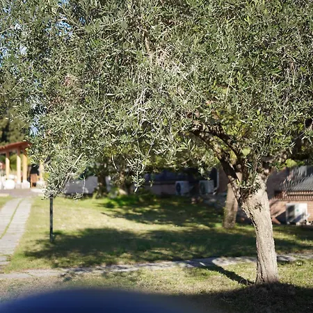 Hotel Oasi Santa Rosa *