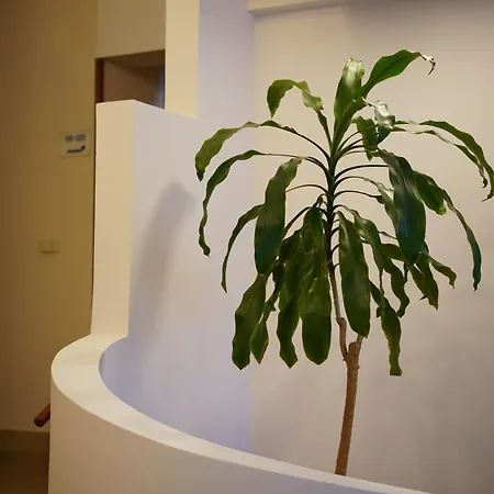 Hotel Oasi Santa Rosa
