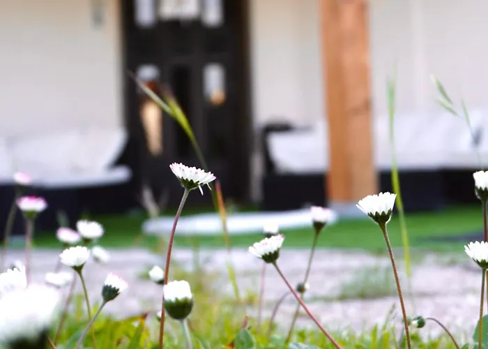 Hotel Oasi Santa Rosa Rome