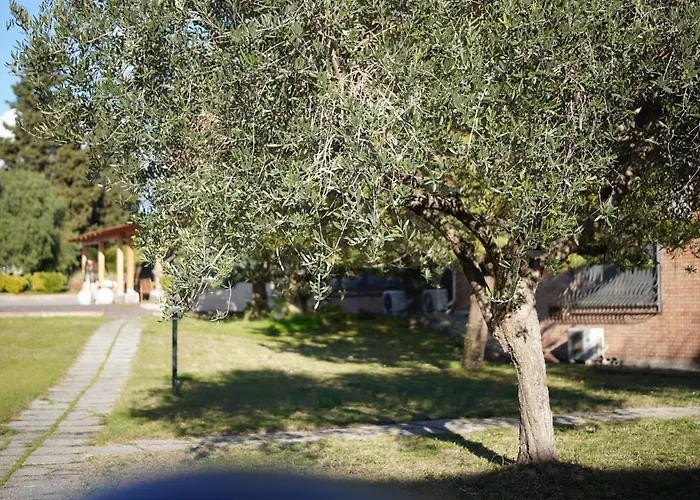 Hotel Oasi Santa Rosa *