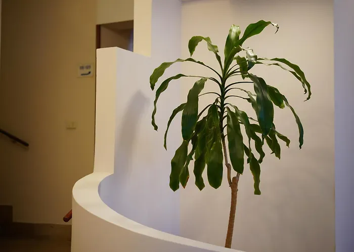 Hotel Oasi Santa Rosa